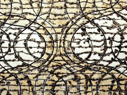 Mario Kon, Life of the root cut (detail). Courtesy of Kingston Gallery