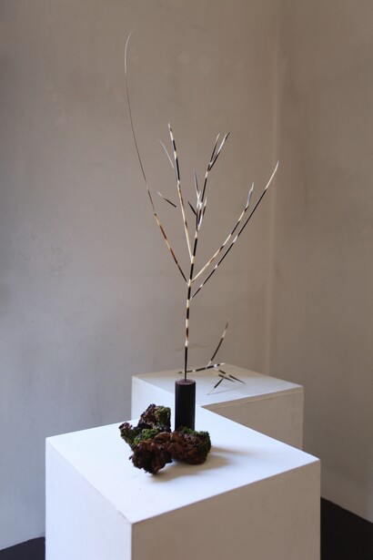 Sara Berola, Spinoza. Courtesy of Die Mauer arte contemporanea