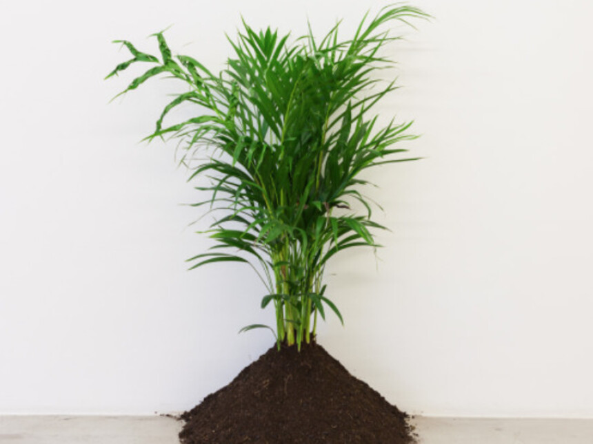 Zip'Up, Exhibition view. Courtesy of Zipper Galeria Zipper Galeria