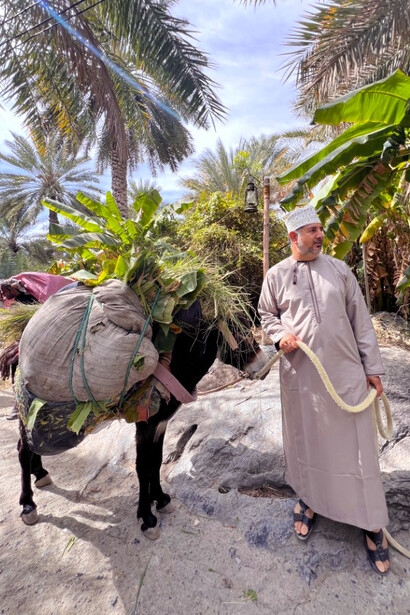 Nestled in the Western Hajar Mountains, Misfat Al Abriyeen is a traditional Omani village in the Wilayah of Al Hamra, standing 900 meters (3,000 feet) above sea level
