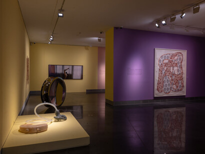 Querido espectador, ¿qué miras? Vista de exhibición. Cortesía del Museo Universidad de Navarra