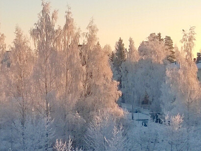 Invierno en Uusimaa. Luna de corazón de roble, enero 2014, Finland

