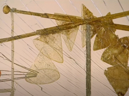 Particolare dell'opera Il grande vetro