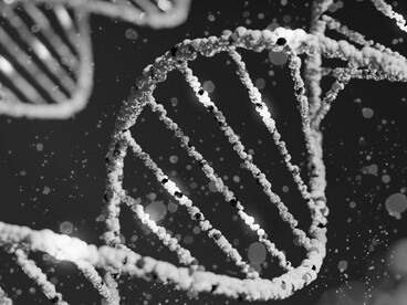 Each twist of the DNA helix carries the potential for change — adaptation or error