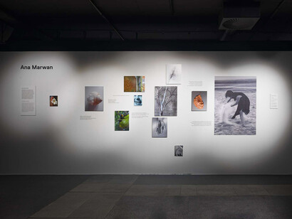 Temporary address, exhibition view. Courtesy of Jakopič Gallery