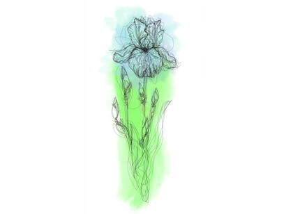 Michel Paysant, De la suite Eden : flâneries numériques à giverny extraits des carnets d'Étude Iris, 2025. Courtesy of Musée de l'Orangerie
