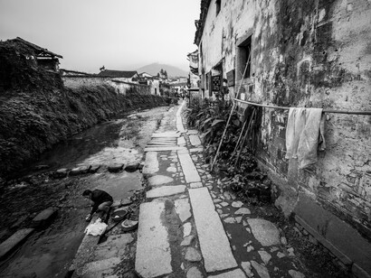 Destruction lingers where human presence has been violently erased