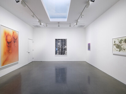 Wolfgang Tillmans, Keep movin’, exhibition view. Courtesy of Regen Projects