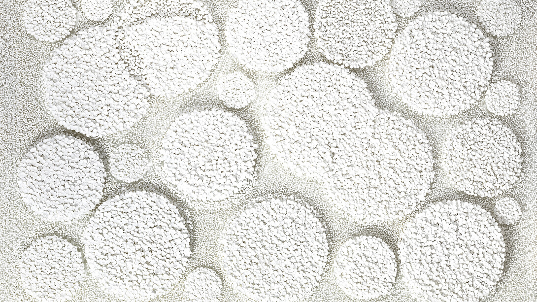 Cho Sung Hee, White globe (detail), 2026. Courtesy of Opera Gallery