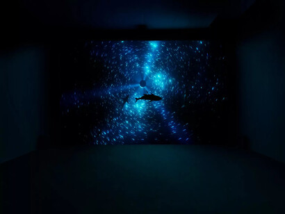 Julian Charrière, Midnight zone, exhibition view. Courtesy of Gallery Dittrich and Schlechtriem