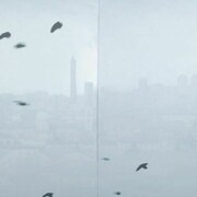 Elisa Saggiomo, Quadro Città Bologna + videoproiezione Uccelli, (dettaglio), 93 x 253 cm