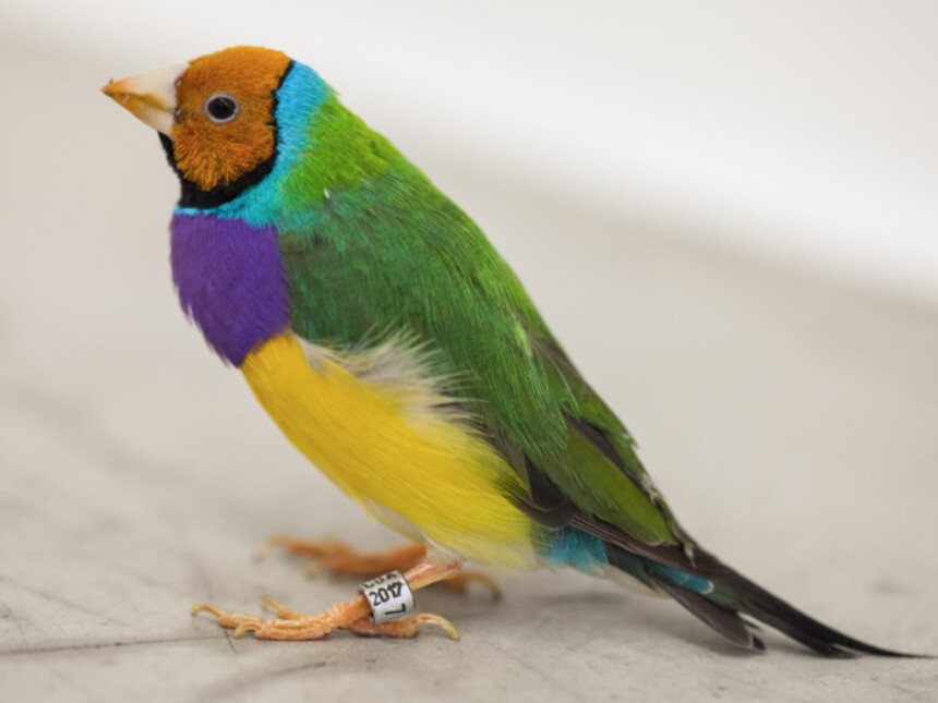 Zip'Up, Exhibition view. Courtesy of Zipper Galeria Zipper Galeria