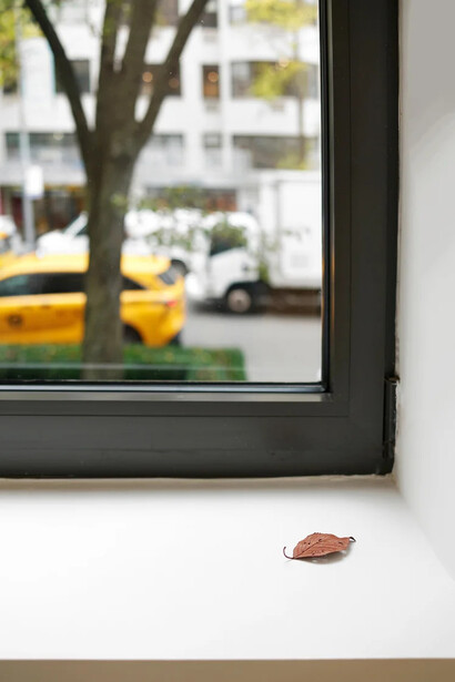 Suda Yoshihiro, exhibition view. Courtesy of Mignoni Gallery