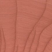 Dana Piazza, Lines 315 (detail), 2025. Courtesy of Kathryn Markel Fine Arts