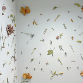 Monica Banks, Secret harmonies, exhibition view. Courtesy of Kathryn Markel Fine Arts