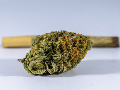 Macro shot of cannabis buds, highlighting Europe's evolving drug policies and economic opportunities