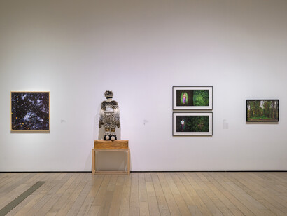 Vairous artists, Grounded, exhibition view. Courtesy of the Los Angeles County Museum of Art
(LACMA) 