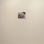 De la nature des choses. Courtesy of Marie-Laure Fleisch