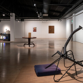 Rea Burton, Burdizzo, exhibition view. Courtesy of Whangārei Art Museum