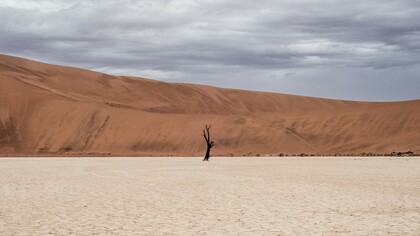 Una Superintelligenza Artificiale potrebbe autodistruggersi nel momento stesso in cui prendesse coscienza di essere un’arma capace di annientare tutto, compresa se stessa