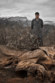 Il bracconaggio in Africa