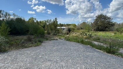 In copertina una delle strade di accesso al sito archeologico di Cellarulo a Benevento in totale stato di abbandono. Foto di Sandra Dello Iacovo, Benevento, Italia