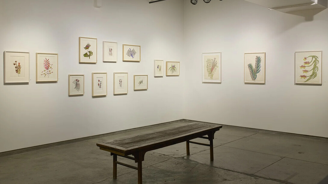 Anna Zemánková, Collaging the visition, exhibition view. Courtesy of Cavin Morris Gallery