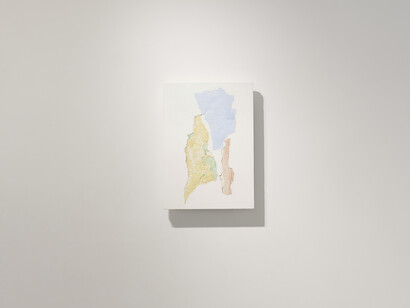 Manoela Medeiros, Tropical still life, exhibition view. Courtesy of Palo Gallery