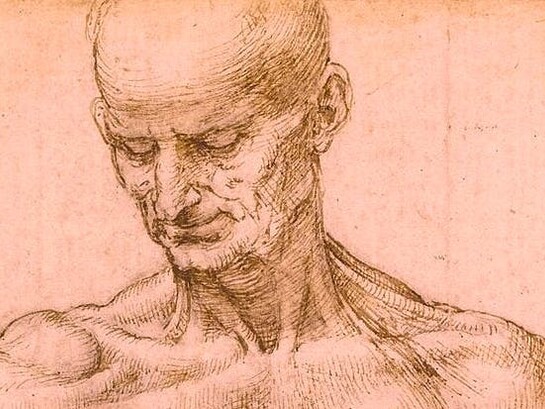 Vida y obra de Leonardo da Vinci | Meer