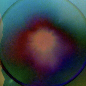 Sky Hopinka, Évanouissements, vue de l'exposition. Avec l'aimable autorisation du musée Guggenheim de Bilbao