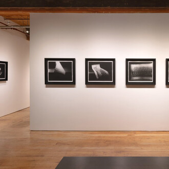 Lynn Silverman, In a matter of time, exhibition view. Courtesy of Goya Contemporary Gallery 