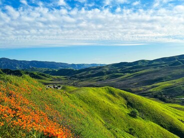 I colori della natura stimolano emozioni positive e contribuiscono al rilassamento mentale