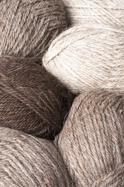 Decían en el barrio que las hermanas Cárdenas hilaban destinos