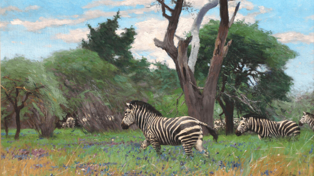 Wilhelm Kuhnert, Zebras, no date. Courtesy of the Nelson-Atkins Museum