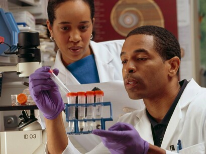 Laboratory analysis plays a crucial role in evaluating whether traditional medicinal plants can meet modern medical standards