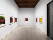 Anish Kapoor, Drawings, exhibition view. Courtesy of Lisson Gallery