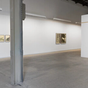 Yann Pocreau, De légers décalages, vue d'exposition. Avec l'aimable autorisation de la Blouin Division