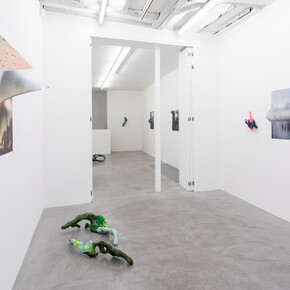 Marie Lelouche, Nonuments, exhibition view. Courtesy of Alberta Pane Gallery