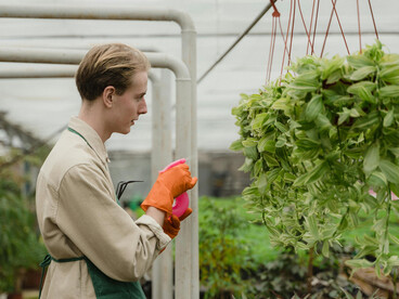 A farmer checking his plants in a greenhouse, highlighting the link between farming and greenhouse gas emissions