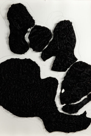 DeAnna Maganias, Astrakhan transmigration collage #2. Courtesy of Rebecca Camhi Gallery