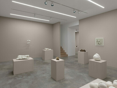 Maria Bartuszová, The butterfly effect, exhibition view. Courtesy of Alison Jacques Gallery