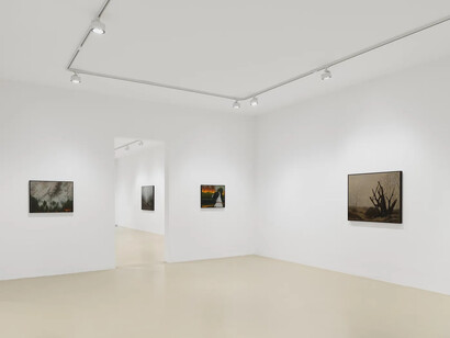 Antoine Roegiers, La traversée, exhibition view. Courtesy of Keteleer Gallery 