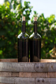 Two glasses of wine resting on a wine barrel amidst the vineyard