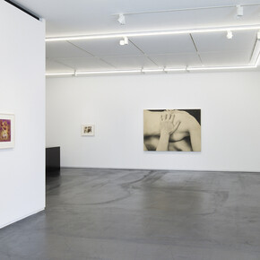 Kunié Sugiura, Boundaries and coexistence, exhibition view. Courtesy of Taka Ishii Gallery 