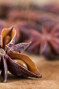 Anethole, an organic compound found in the essential oils of plants like anise, fennel, and star anise, could be used to enhance the effectiveness of cancer treatment.