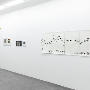 Various artists, Hay un pájaro azul en mi corazón (There’s a bluebird in my heart), exhibition view. Courtesy of Gallery Hache 