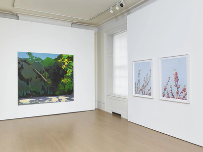 Paul Anthony Smith, Lands abroad, exhibition view. Courtesy of Timothy Taylor Gallery