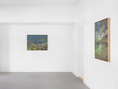 Petra Cortright, Soft stone under heaven exceeded trial period, exhibition view. Courtesy of Brigade Gallery