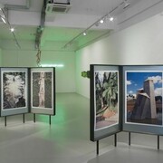 Installation view of TopoDendroPhilia