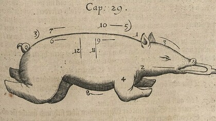 "Cochinillo", ilustración del libro "Gastronomía, cultura alimentaria, modales en la mesa, comida y preparación", 1657